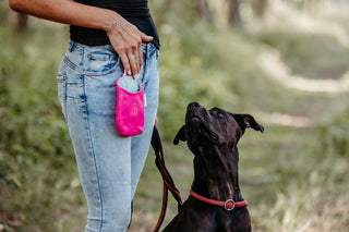 Kleiderschutztasche Basic oder mit Karabiner